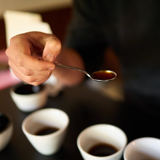 Atelier : goûter, comprendre, apprécier le café autrement