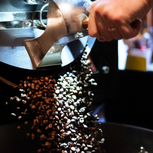 Atelier Torréfaction : Pratique & Découverte